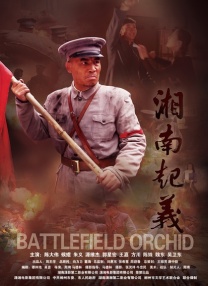 阿姨的肉体建议